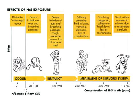 What is Hydrogen Sulphide (H2S)? | HealthUnit Haldimand-Norfolk