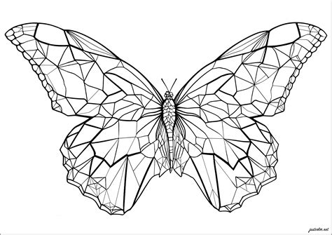 Butterfly With Geometric Wings Butterflies And Insects Coloring Pages