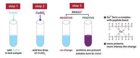 Food Tests Gcse Biology Revision