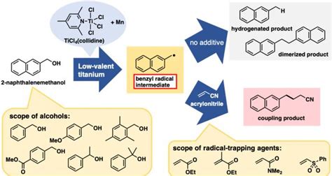 Direct Radical C C Bond Format IMAGE EurekAlert Science News Releases