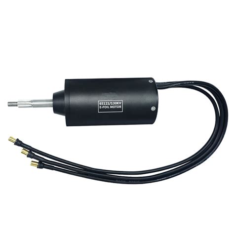 3700w 130kv 6 20s Waterproof Brushless Dc Motor Ip68 Sensorless