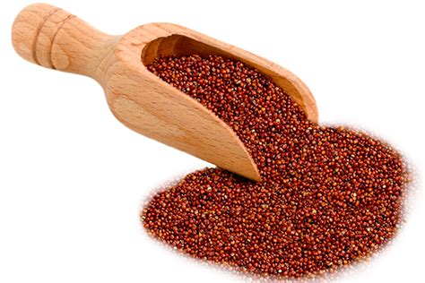 Gold Land Quinoa Red Quinoa