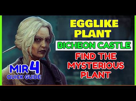 Mir Quick Guide Egglike Plant Bicheon Castle Request Find The