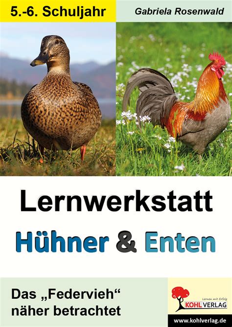 Lernwerkstatt Tiere Im Winter