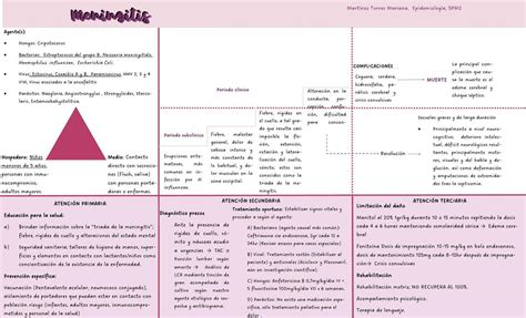 Meningitis Historia Natural De La Enfermedad Mariana Mart Nez Torres