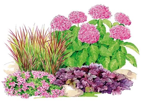 Sc Ne Hortensia Et Gramin Es Un Jardin Qui Vous Ressemble Jardin D