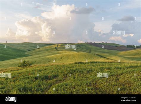 Landschaften Der Toskana Fotos Und Bildmaterial In Hoher Auflösung