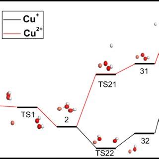 Energy diagram of Cu⁺/H2O2 and Cu²⁺/H2O2 system for each elementary ...