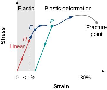 elasticity  plasticity university physics volume