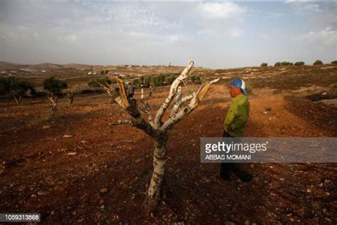 Abu Shinar Photos And Premium High Res Pictures Getty Images