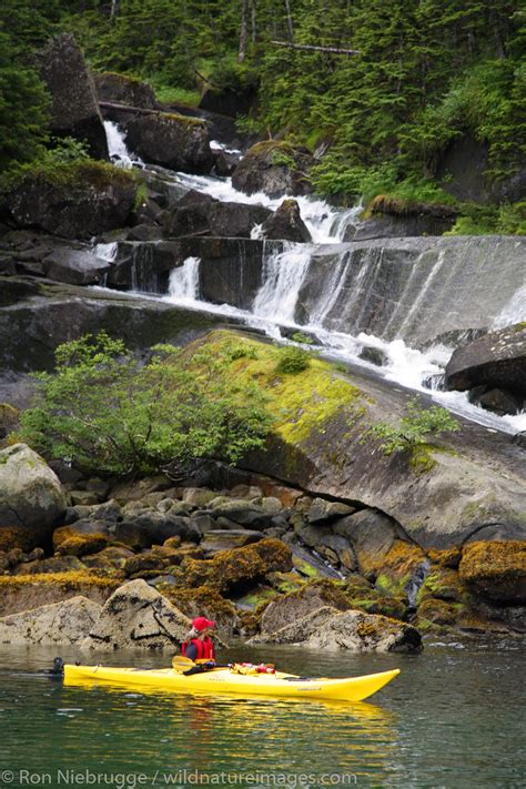 Kayaking in Alaska | Photos by Ron Niebrugge