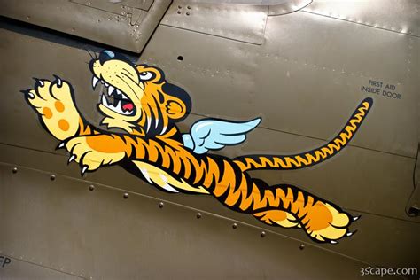 Flying Tiger On P 40 Warhawk Photograph By Adam Romanowicz