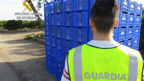 Fontestad No Guarda Relación Con El Robo De Naranjas Levante Emv