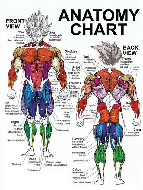 "Anatomy Chart - Muscle Diagram - Anime Workout Inspirational" T-shirt by veggie , #ad, #Muscle ...