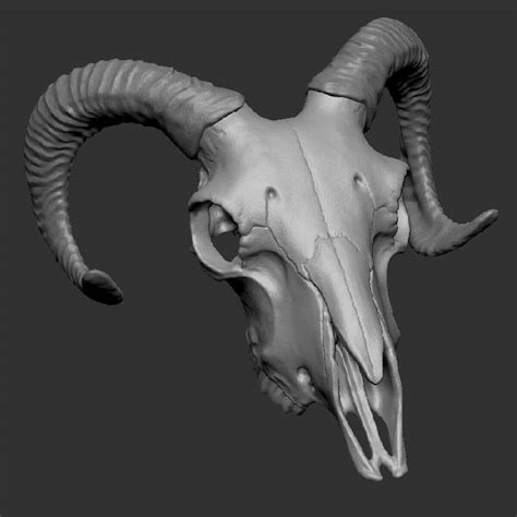 Goat Skull 3d Model By Craft3d