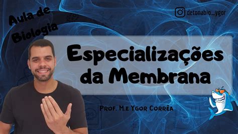 Citologia Aula 3 Membrana Plasmática Especializações da Membrana