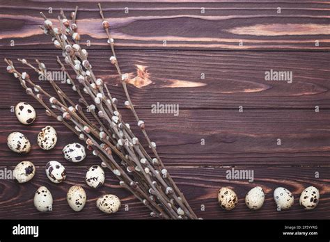 Happy Easter Frame Quail Eggs And Pussy Willow On Dark Brown Wooden Board Festive Background