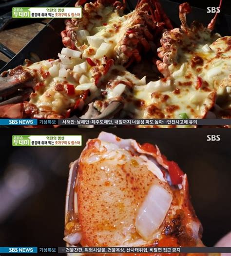 생방송 투데이 조개구이랍스터 풍경에 취하는 맛위치 공개 네이트 연예