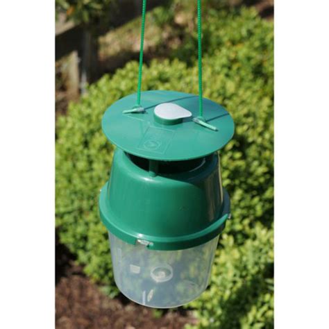 Box Tree Moth Trap - Mr Middleton Garden Shop