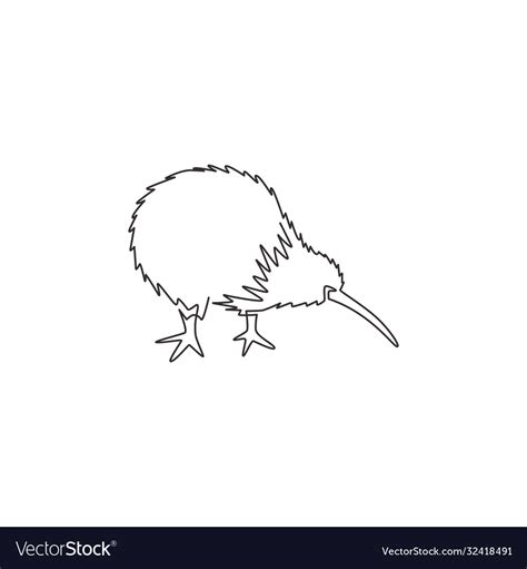 Kiwi Bird Drawing Outline