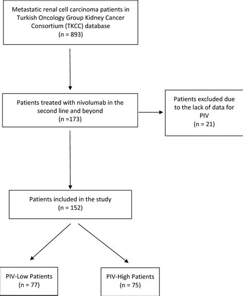 Flowchart Of Patient Selection Piv Pan Immune Inflammation Value