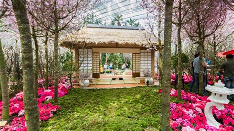 Sakura Matsuri 2019 At Gardens By The Bay Will Feature Torii Gates And