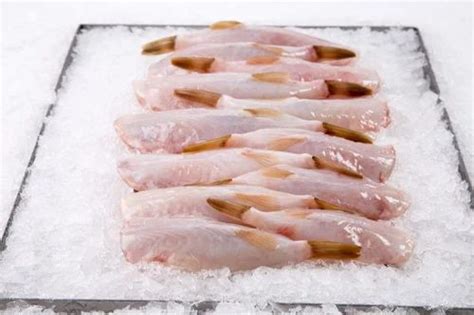 Butter Fish At ₹ 400kg Fresh Fish In Bengaluru Id 2855445519748