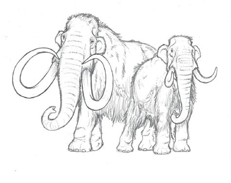 Disegni Da Colorare Mammut Blog Di Pociopocio