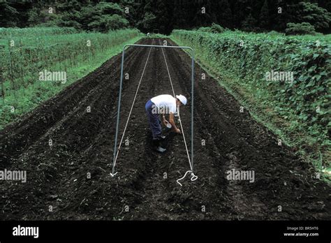 Farming In A Japanese Commune Stock Photo Alamy