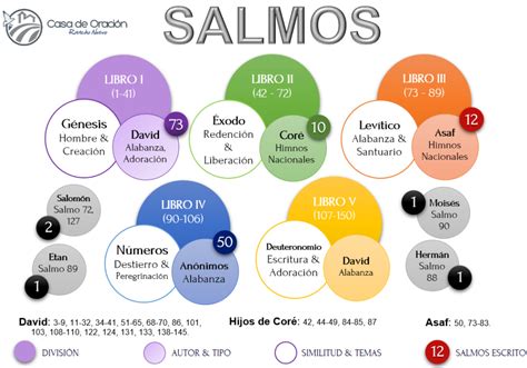 Clasificaci N Y Divisi N De Los Salmos Salmos Libro De Los Salmos