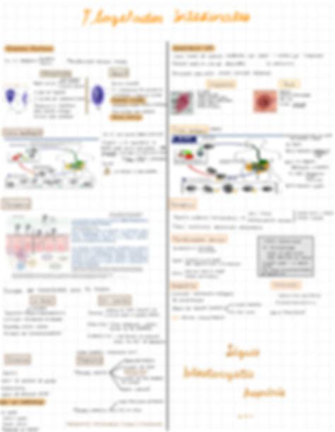 Solution Resumen Parasitologia Studypool