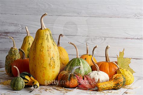 Orange Halloween Pumpkins On White Planks