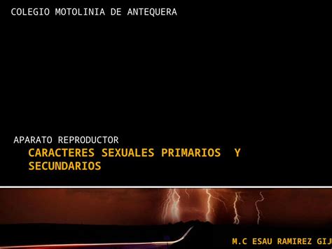 PPTX Caracteres Sexuales Primarios Y Secundarios PDFSLIDE TIPS