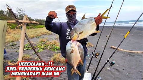 PEMANCING BERUNTUNGUMPAN DI SAMBAR IKAN BESAR JORAN MELENGKUNG HEBAT