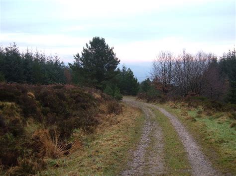 Forest Fire Road Longridge Fell © Michael Ely Cc By Sa20 Geograph