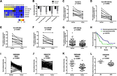 Microarray Screening Of ESCC Associated MiRNAs A Heatmap Showing The