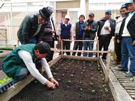 Tecnolog As De Producci N De Semilla Pre B Sica De Papa Jun N