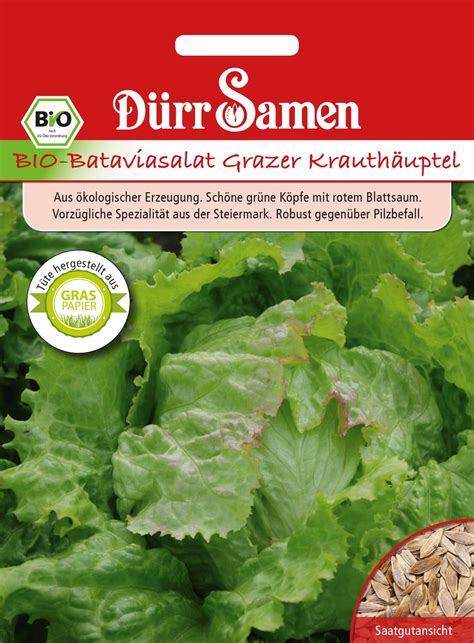 D Rr Samen Bio Batavia Sal Ta Grazer Krauth Uptel Csomag