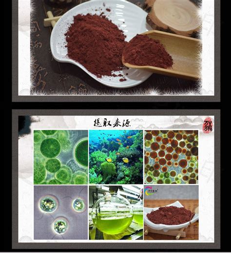 雨生红球藻提取物 Haematococcus Pluvialis Extract 品牌：斯诺特生物斯诺特生物 盖德化工网