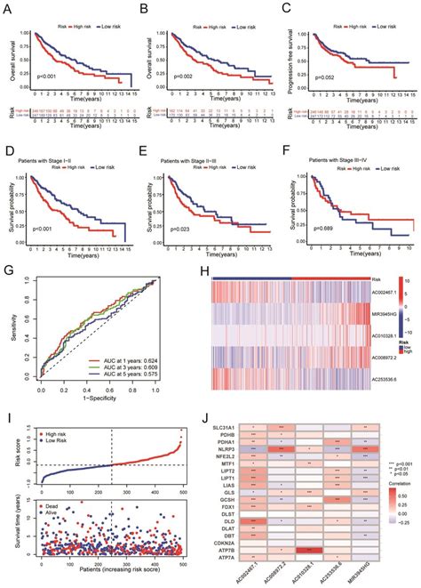 Survival Analysis Using 5 Cuproptosis Related LncRNA Risk Model A The