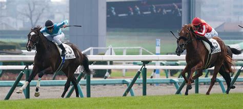 ＜中山5r新馬戦＞レースを制したパンテレリア（左）＝撮影・郡司 修 ― スポニチ Sponichi Annex ギャンブル