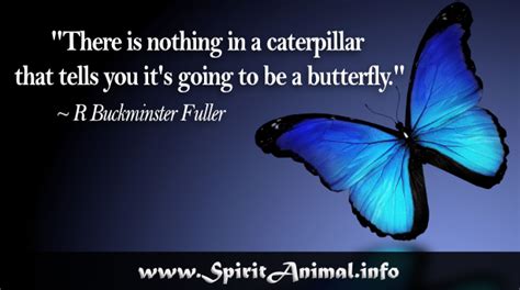 Butterfly Quotes - Spirit Animal Info