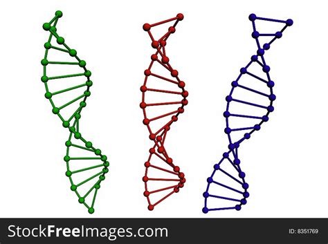 3D Model Of DNA Structure - Free Stock Images & Photos - 8351769 ...