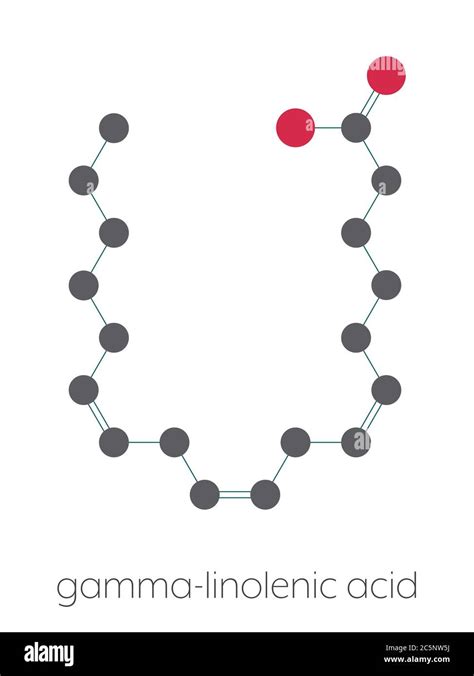 Gamma-linolenic acid (GLA, gamolenic acid) molecule. Omega-6 ...