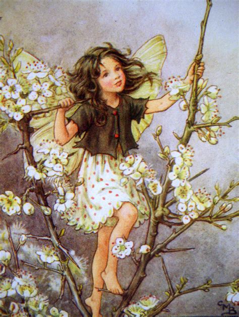 Cicely Mary Barker Et Les Flower Fairies Fées Elfes Lutins Peuple