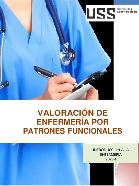 Valoración De Enfermería Por Patrones Funcionales Pdf