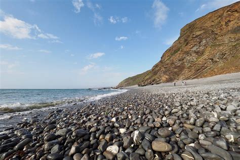 Millook beach - perfect for fans of wildlife and geology