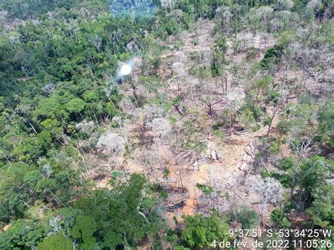 Polícia Federal deflagra operação contra desmatamento em terra indígena