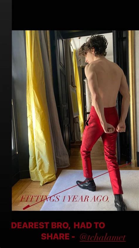 Pin by Juliana Nacci on timothée chalamet Timothee chalamet Timmy t Hot actors