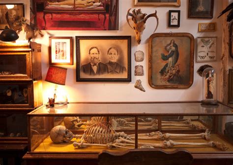 New Morbid Anatomy Museum Opens In Brooklyn Where Else